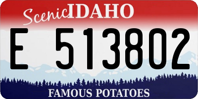 ID license plate E513802