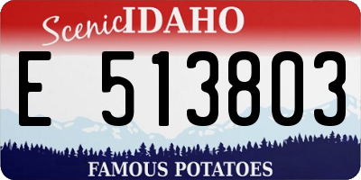 ID license plate E513803