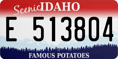 ID license plate E513804