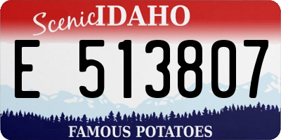 ID license plate E513807