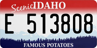 ID license plate E513808
