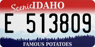 ID license plate E513809