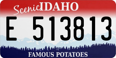 ID license plate E513813