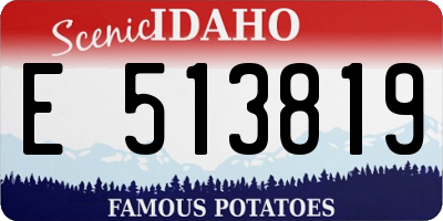 ID license plate E513819