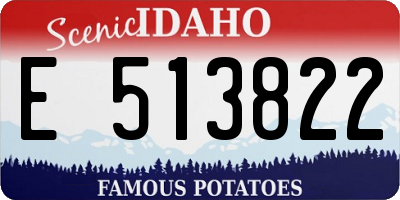 ID license plate E513822