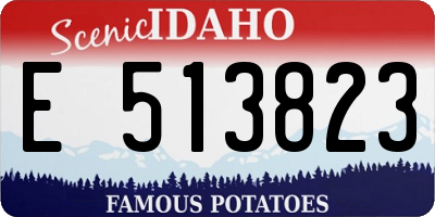 ID license plate E513823