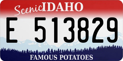 ID license plate E513829