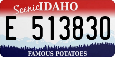 ID license plate E513830