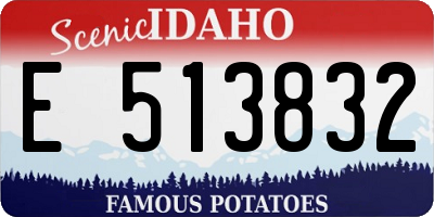 ID license plate E513832
