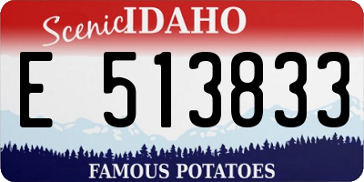 ID license plate E513833