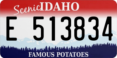 ID license plate E513834