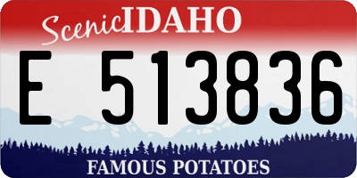 ID license plate E513836