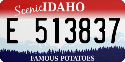 ID license plate E513837