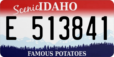 ID license plate E513841