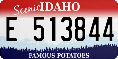 ID license plate E513844