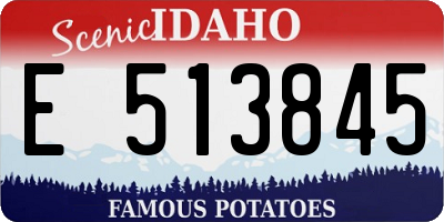 ID license plate E513845