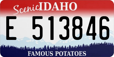 ID license plate E513846