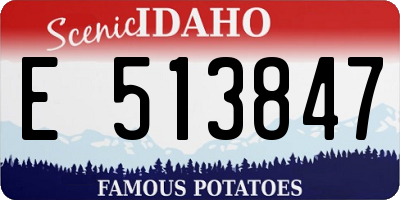 ID license plate E513847