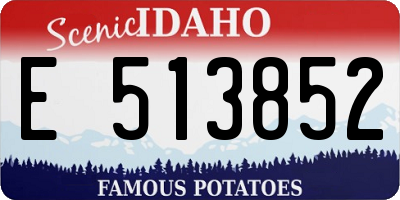 ID license plate E513852
