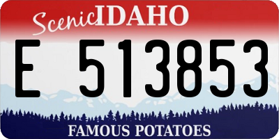 ID license plate E513853