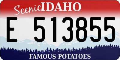 ID license plate E513855
