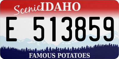 ID license plate E513859
