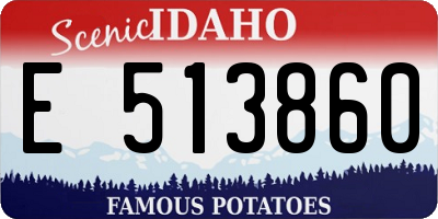 ID license plate E513860