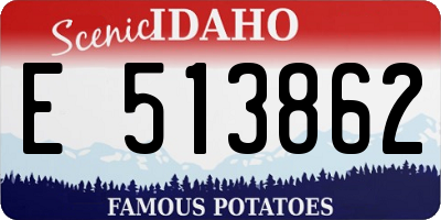 ID license plate E513862