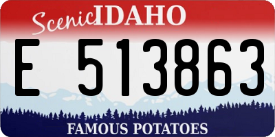 ID license plate E513863