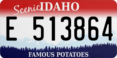 ID license plate E513864