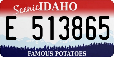 ID license plate E513865