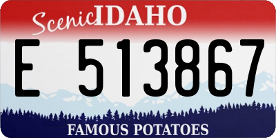 ID license plate E513867