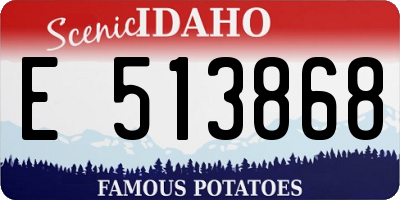 ID license plate E513868