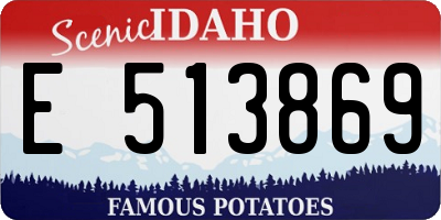 ID license plate E513869