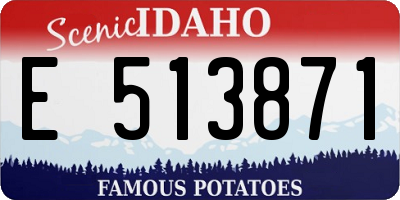 ID license plate E513871