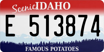 ID license plate E513874