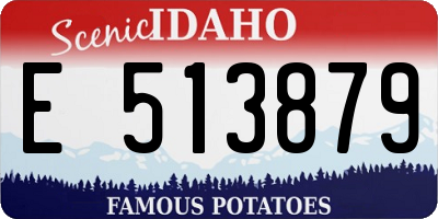 ID license plate E513879