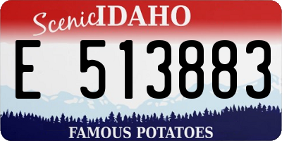 ID license plate E513883