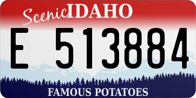 ID license plate E513884