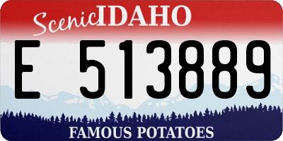 ID license plate E513889