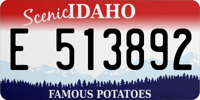 ID license plate E513892