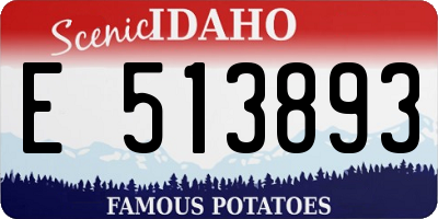 ID license plate E513893