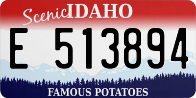 ID license plate E513894