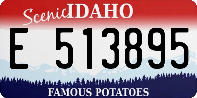 ID license plate E513895