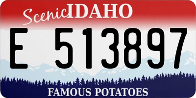 ID license plate E513897