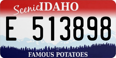 ID license plate E513898