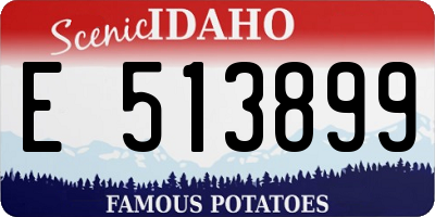 ID license plate E513899