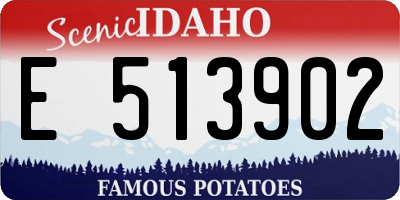 ID license plate E513902
