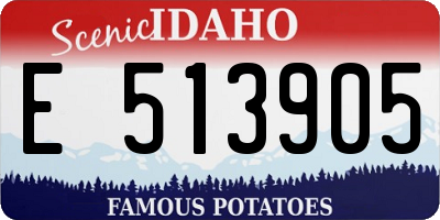 ID license plate E513905
