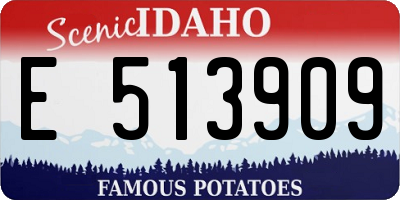 ID license plate E513909